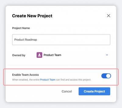 Enable Team Access Toggle