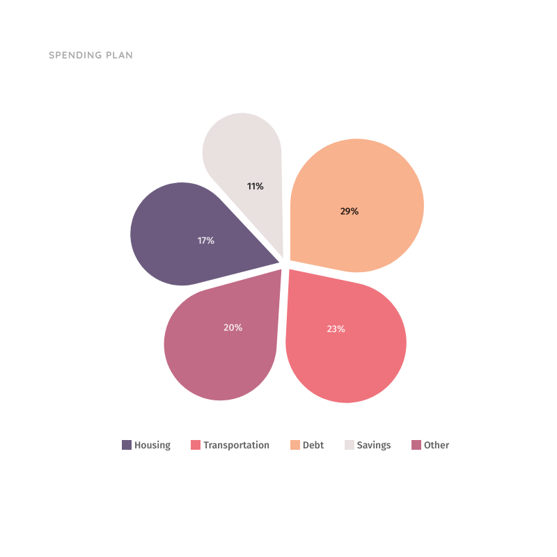 Spending Plan Pie Chart